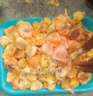 Ugu Ugwu Pumpkin Seedlings Seed