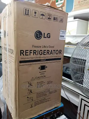Classic Lg Double Door Refrigerator(Silver)