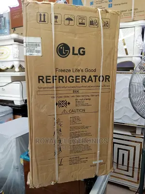 Standard LG Double Door Refrigerator(Silver)