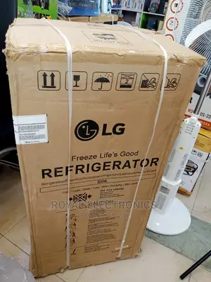 Heavy Duty LG Double Door Refrigerator(Silver)