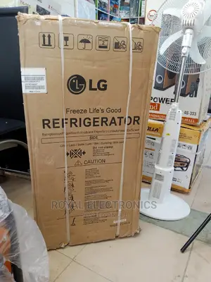 World Class LG Double Door Refrigerator(Silver)