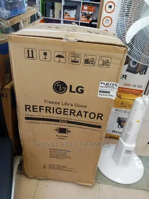 Great Quality LG Double Door Refrigerator(Silver)