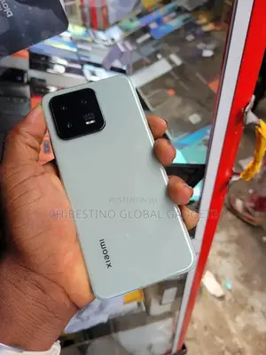 New Xiaomi 13 256 GB Green