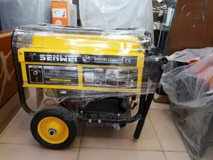 Premium Quality Senwei(SV6200E2)Key Starter Generator