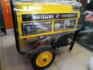 Top Quality Senwei(SV6200E2)Key Starter Generator With Tyre