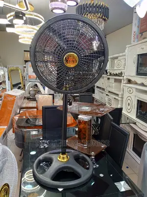 BB 18-Inch Standing Fan Black