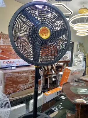 Classic BB 18-Inch Standing Fan Black
