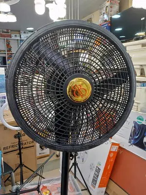World Class BB 18-Inch Standing Fan Black