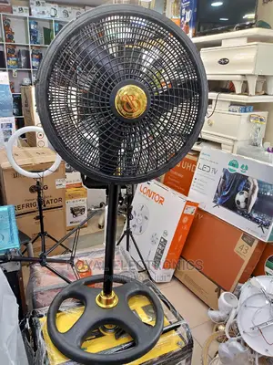 World Class BB 18-Inch Standing Fan Black