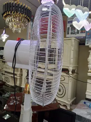 Very New Golden Breeze 18" 5-Blade Standing Fan