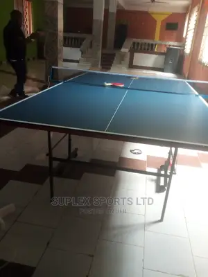 Imported Indoor Table Tennis