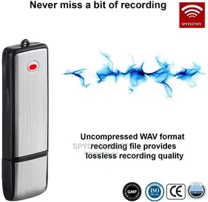 Portable USB Flash Voice Recorder 8GB