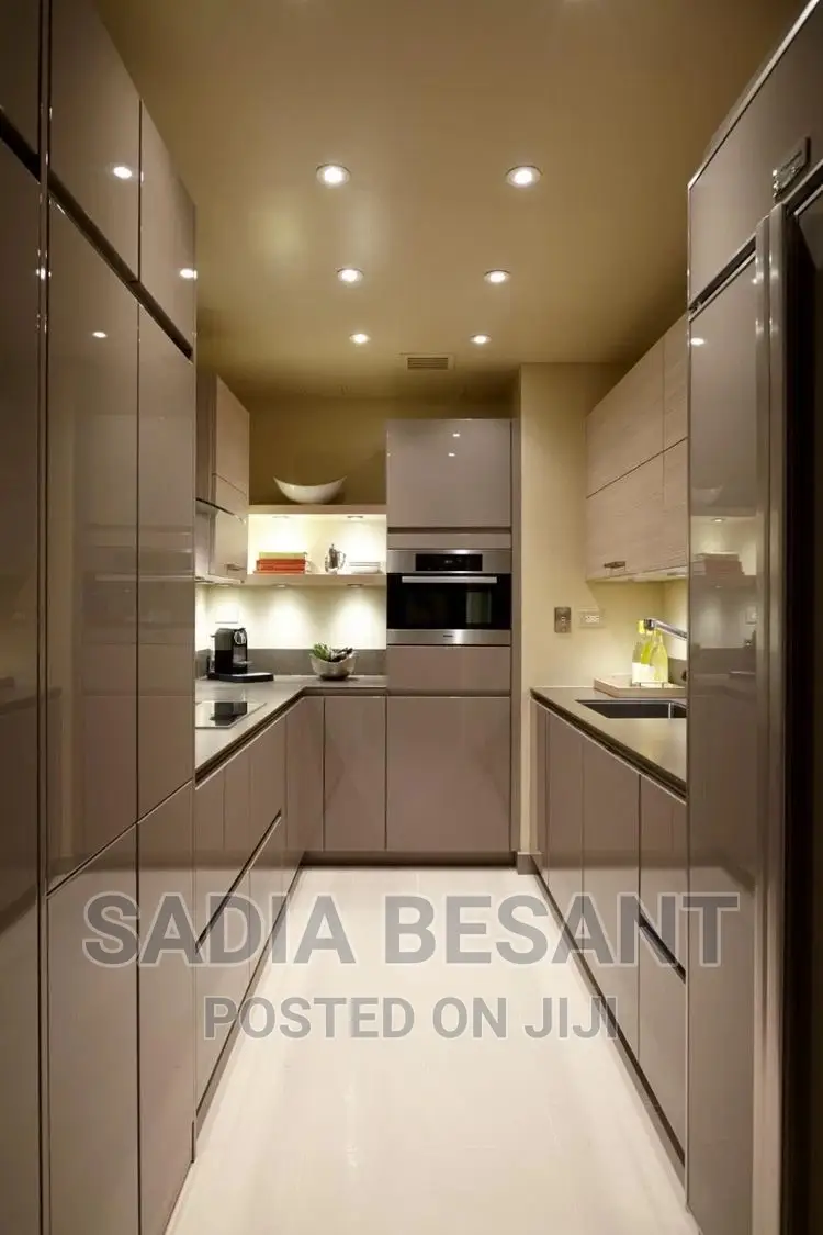 Modern Kitchen Cabinets Design and Accessories