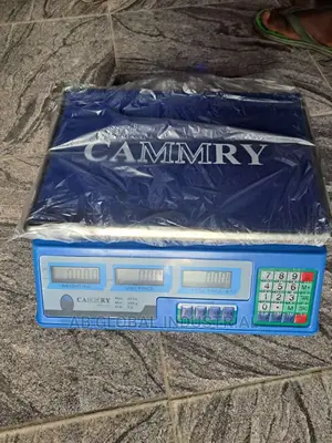Digital 40kg Scale