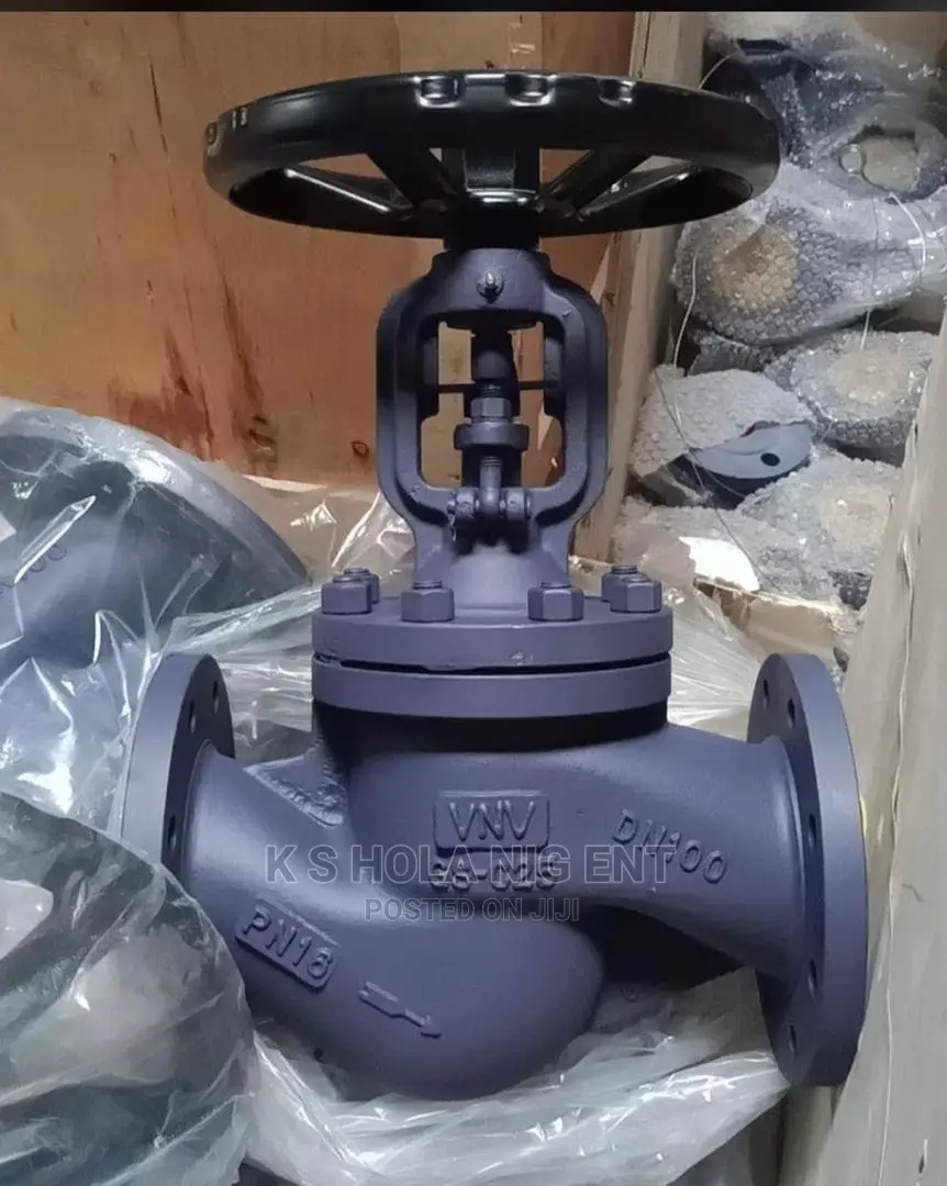 4" Globe Valve