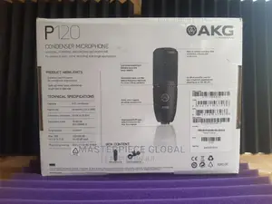 Akg P120 Condenser Mic