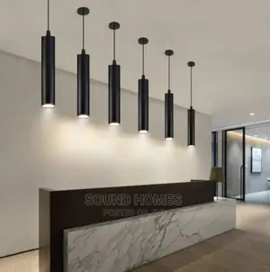 Single Led Drop Light (Black Colour)