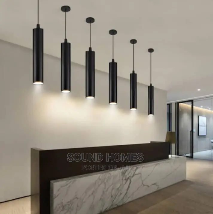 Single Led Drop Light (Black Colour)