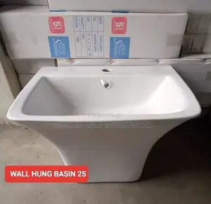 Wall Hung Basin