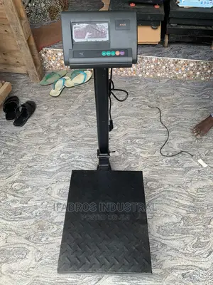 Scales 300 Kg With A12 E Indicator Original Ones
