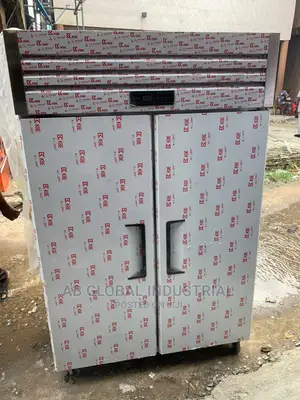 2 Doors Industrial Fridge