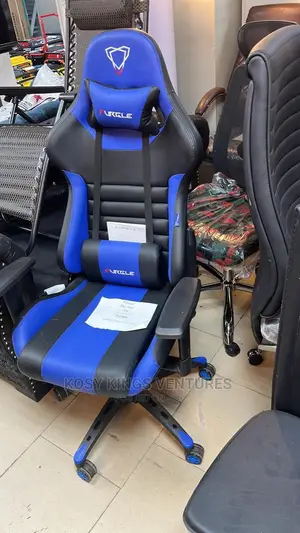 Luxurious Gaming/Office Chair