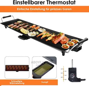 Electric BBQ Plate Grill and Roast