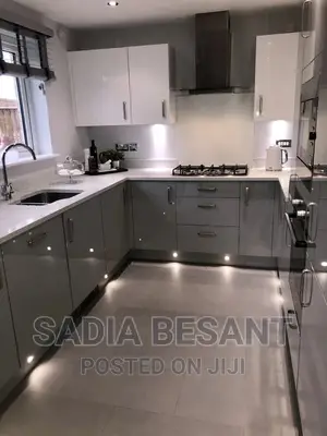 Contemporary Kitchen Cabinets and Accessories