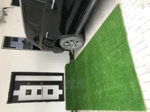 Entrance Grass Rugs (We Sell Per Sqm)