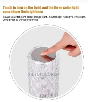 Rose Diamond Table Lamp
