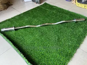 Olympic Curl Bar