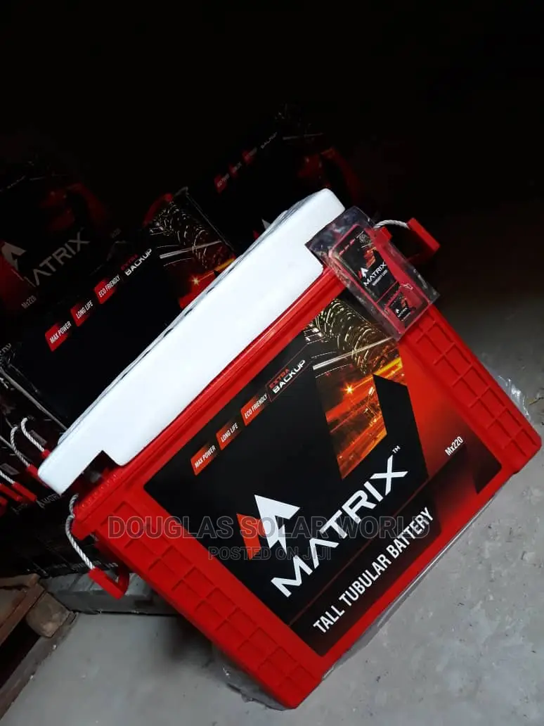220a Matrix Tubular Battery