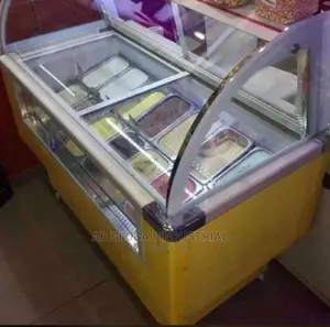 12 Pan Ice Cream Display Freezer