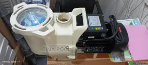 Swimming Pool Pump Choice