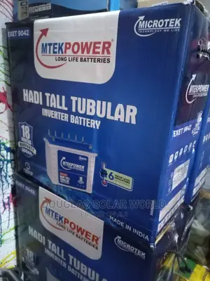 220a Microtek Tubular Battery