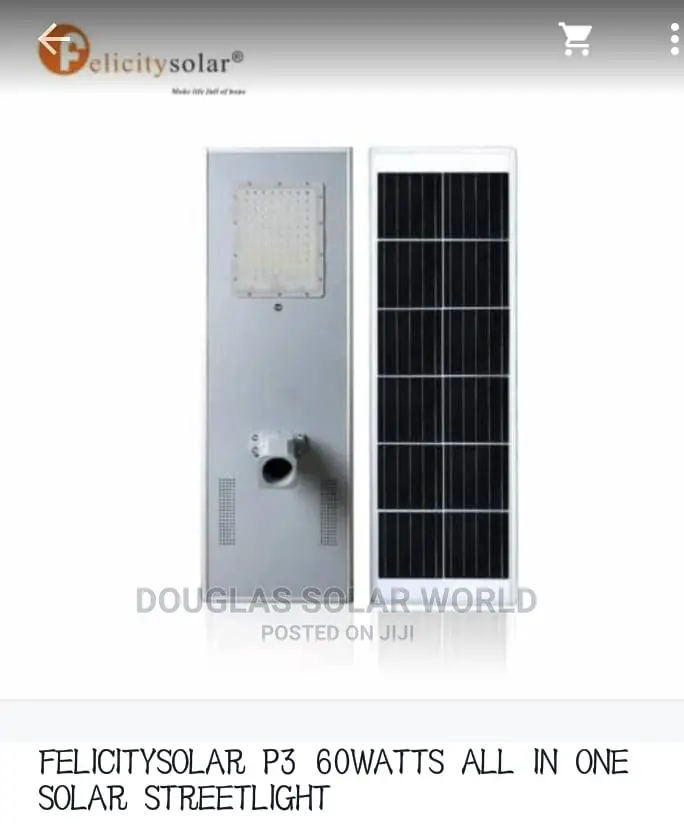 P3 60w Felicity Solar Street Light