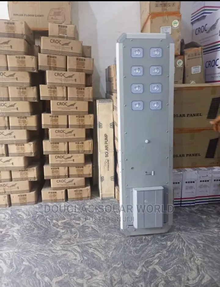 D2 60w Felicity Solar Street Light
