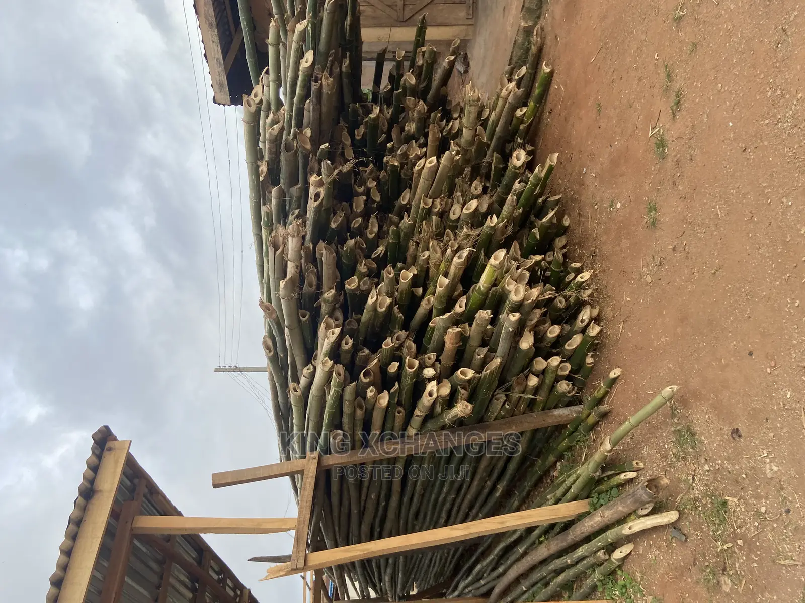 Standard Bamboos