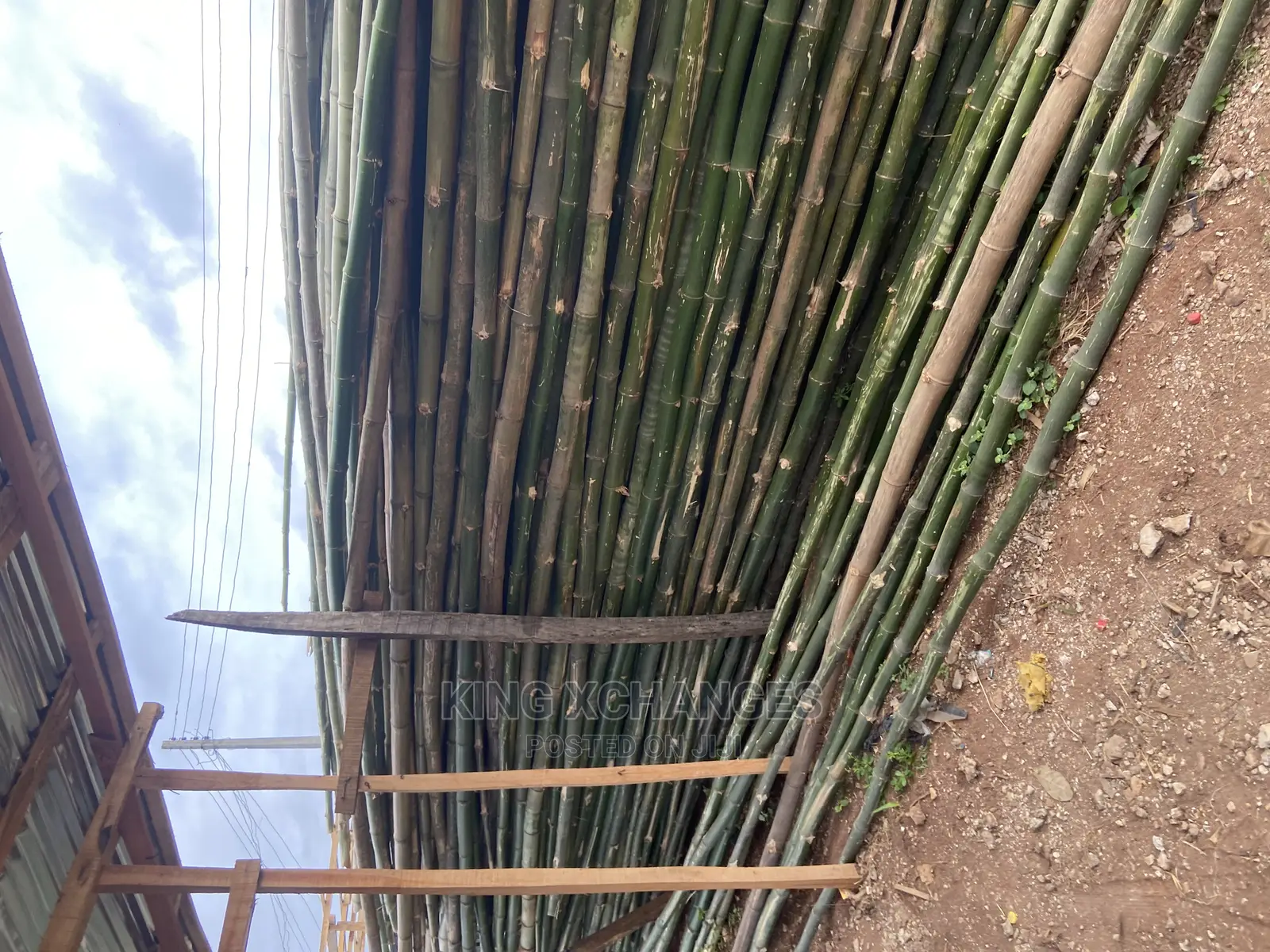 Standard Bamboos