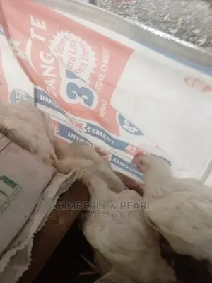 Very Good Broiler 2.8kg