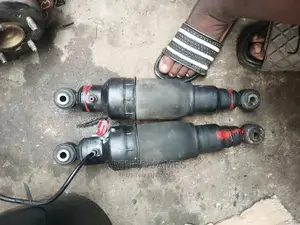 Bathroom Back Shock Infiniti QX56 and Nissan Amanda 2007
