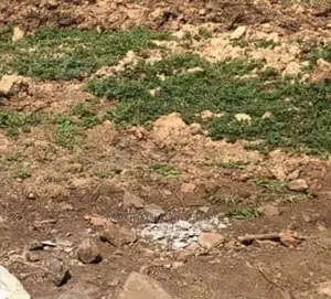 Abijo Residential Scheme, Abijo Gra Ibeju Lekki
