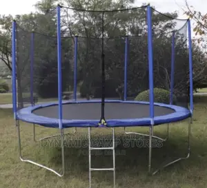 10ft Trampoline With Protection Net and Ladder