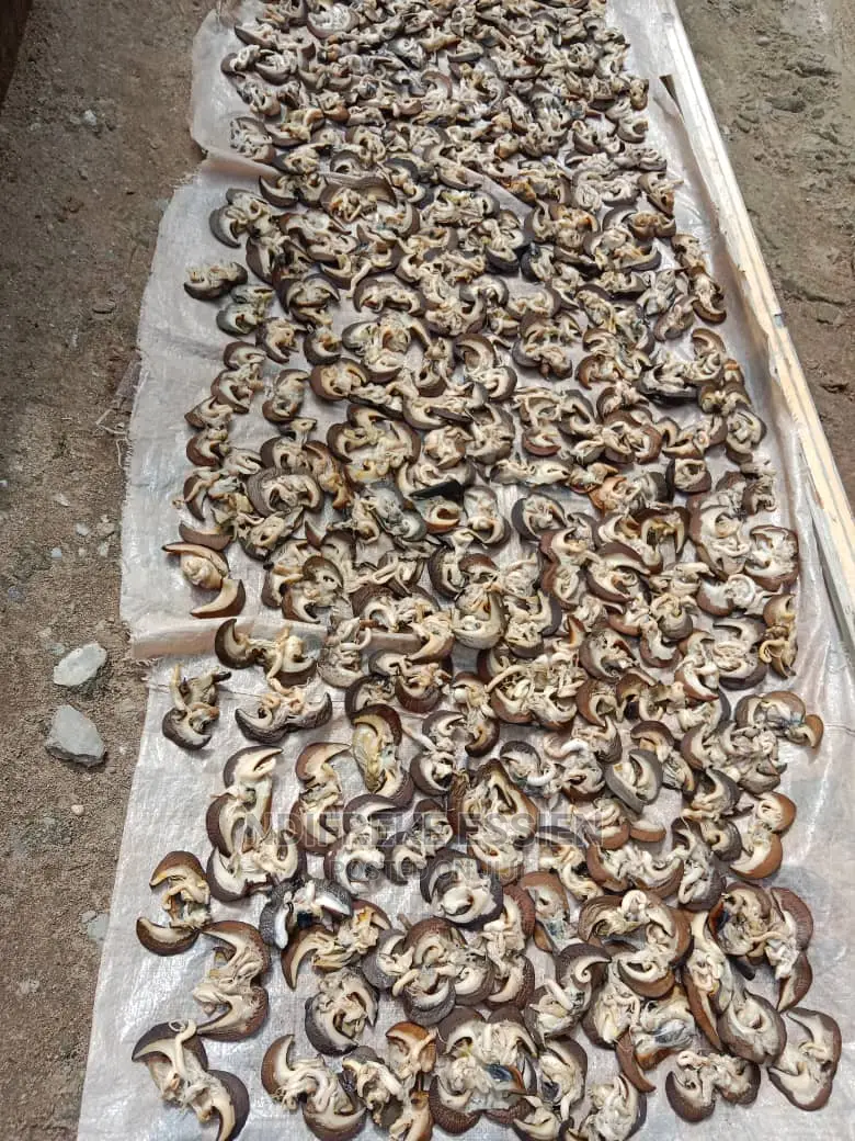 Quality Snails