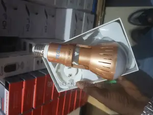 Full View Bulb Camera
