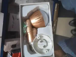 Full View Bulb Camera