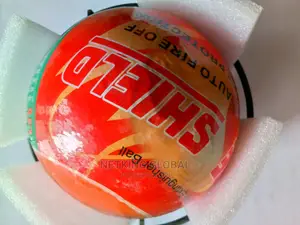 Fire Extinguisher Ball (Fire Shield)