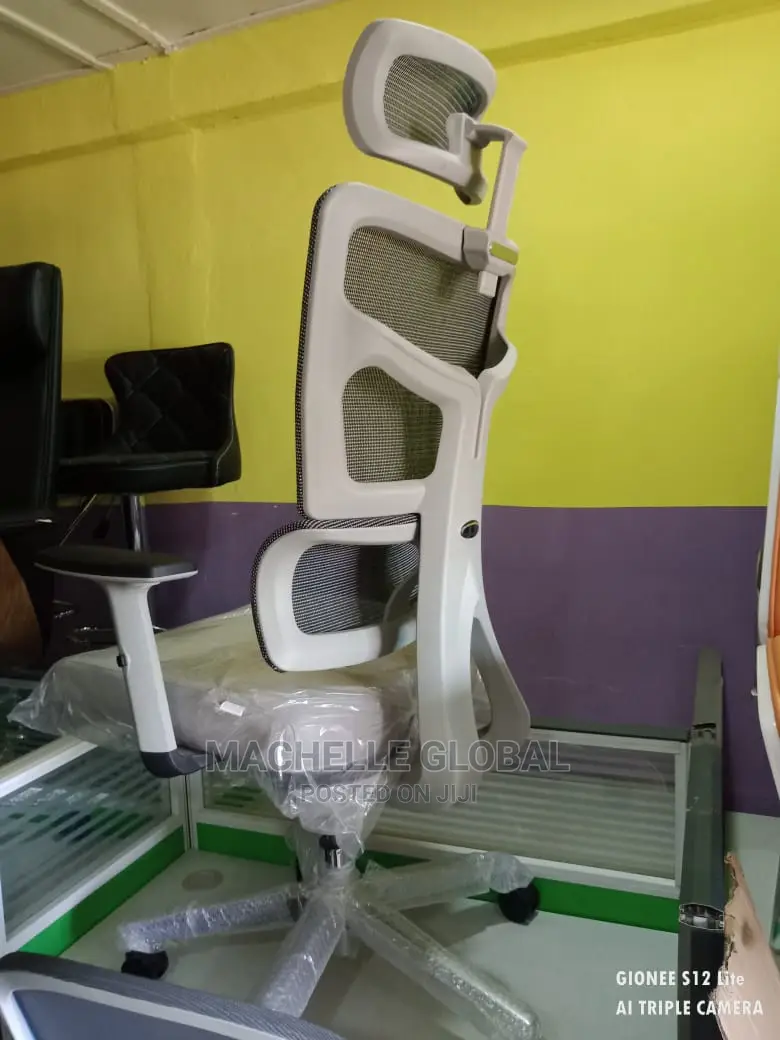 Executive Autopedic Chairs