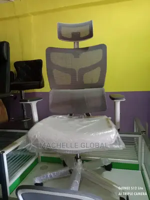 Executive Autopedic Chairs