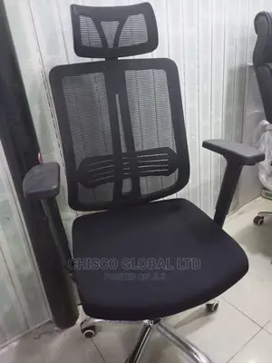 Office Chair (Ergonomic)
